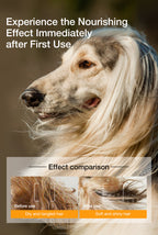 Pet Essential Oil Shampoo Series