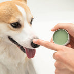 Sensitive Snout Soother