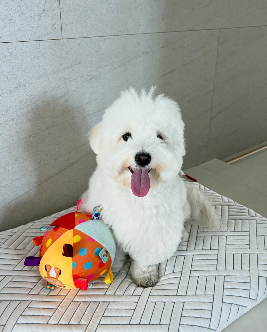 Cross-Border Pet Football Bell, Dog Toy Ball, Self-Stimulating Dog To Relieve Boredom, Teeth Grinding, Plush Leather Ball Pet Toy