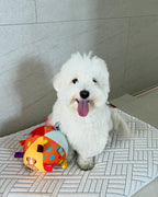 Cross-Border Pet Football Bell, Dog Toy Ball, Self-Stimulating Dog To Relieve Boredom, Teeth Grinding, Plush Leather Ball Pet Toy