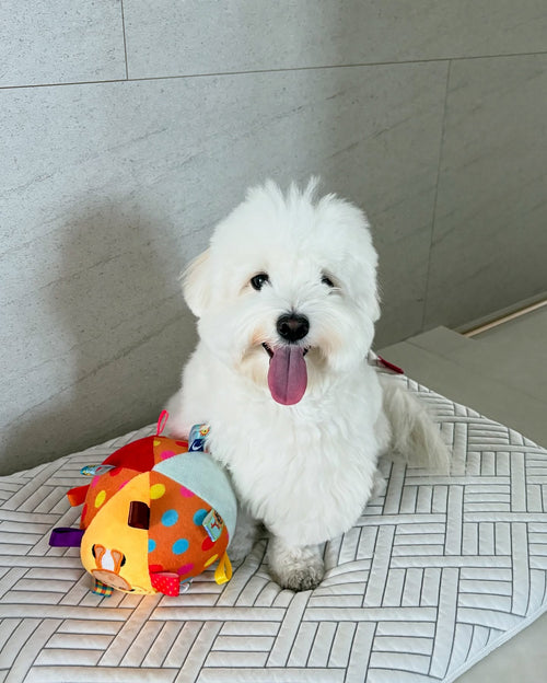Cross-Border Pet Football Bell, Dog Toy Ball, Self-Stimulating Dog To Relieve Boredom, Teeth Grinding, Plush Leather Ball Pet Toy