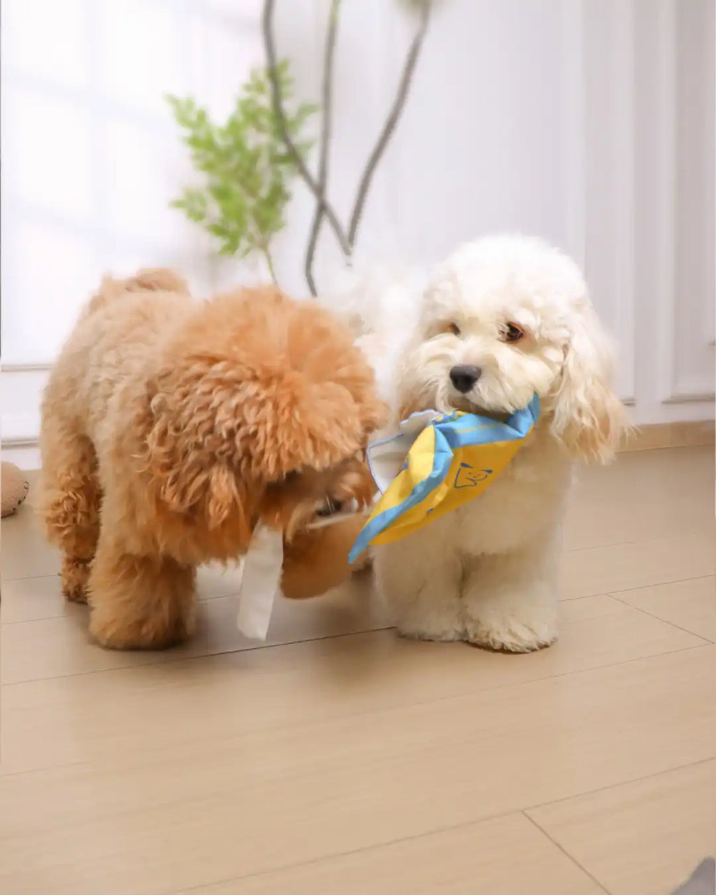 🔥Best Seller Deal🔥Wet Wipes Sniffing Toy for Dogs — Train Calm, Focused Play