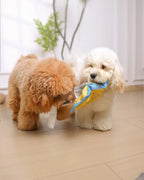 🔥Best Seller Deal🔥Wet Wipes Sniffing Toy for Dogs — Train Calm, Focused Play
