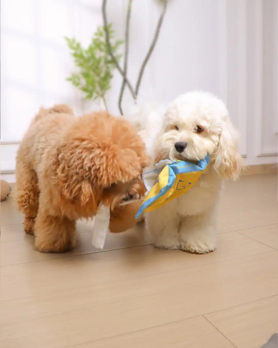 🔥Best Seller Deal🔥Wet Wipes Sniffing Toy for Dogs — Train Calm, Focused Play