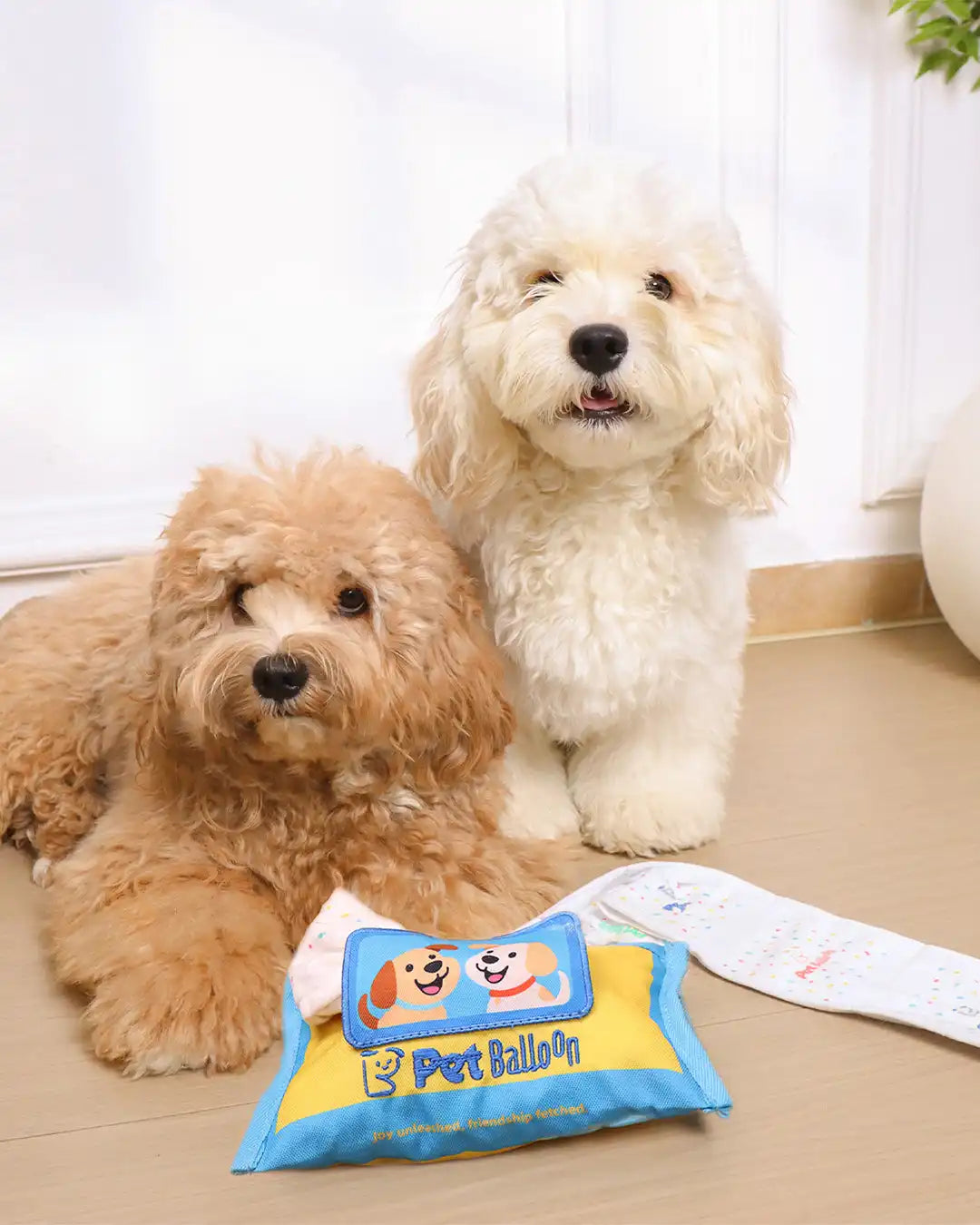 🔥Best Seller Deal🔥Wet Wipes Sniffing Toy for Dogs — Train Calm, Focused Play