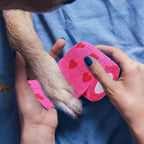 Dust Resistant Bandage for dogs