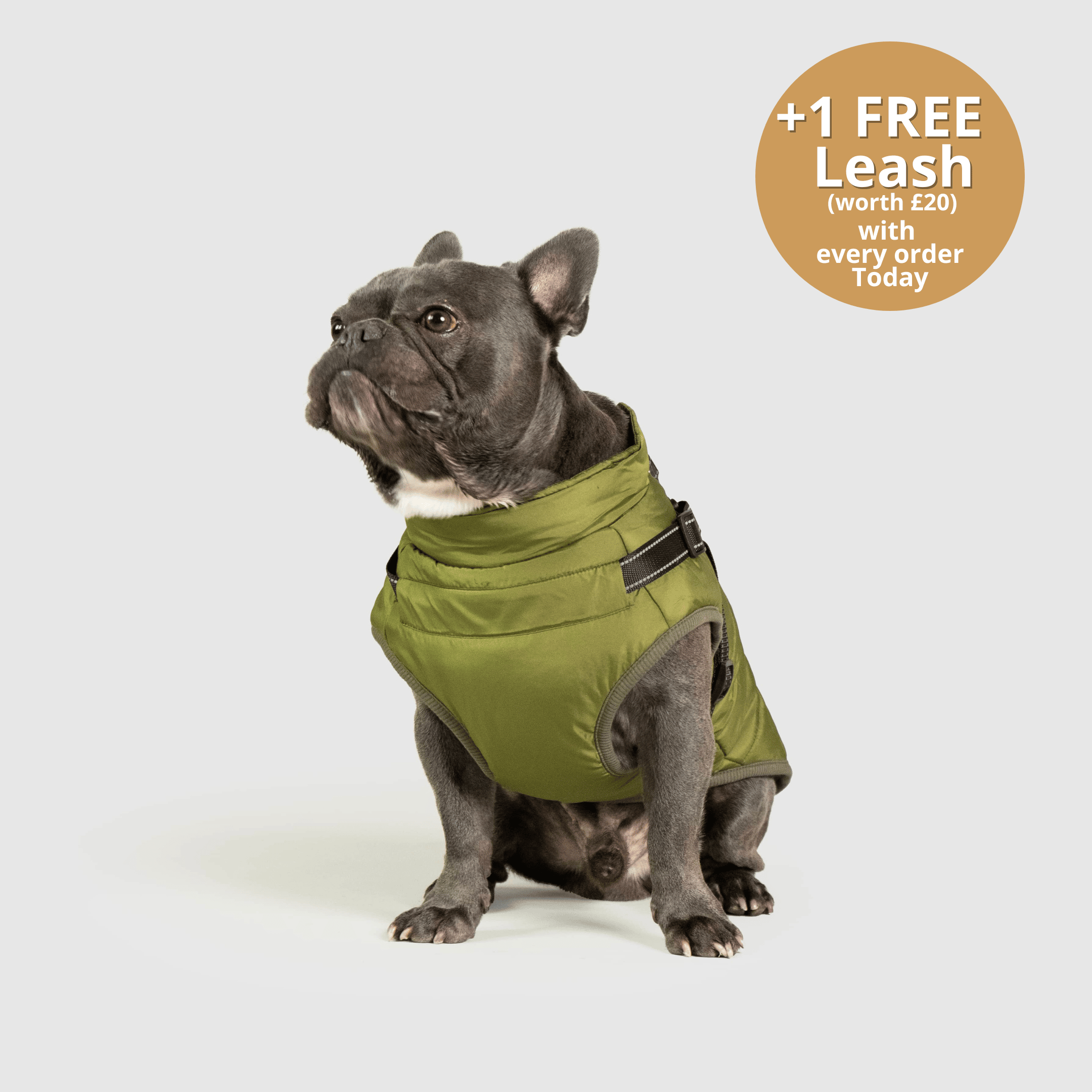 Dog 3 in 1 Jacket