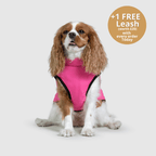 Dog 3 in 1 Jacket