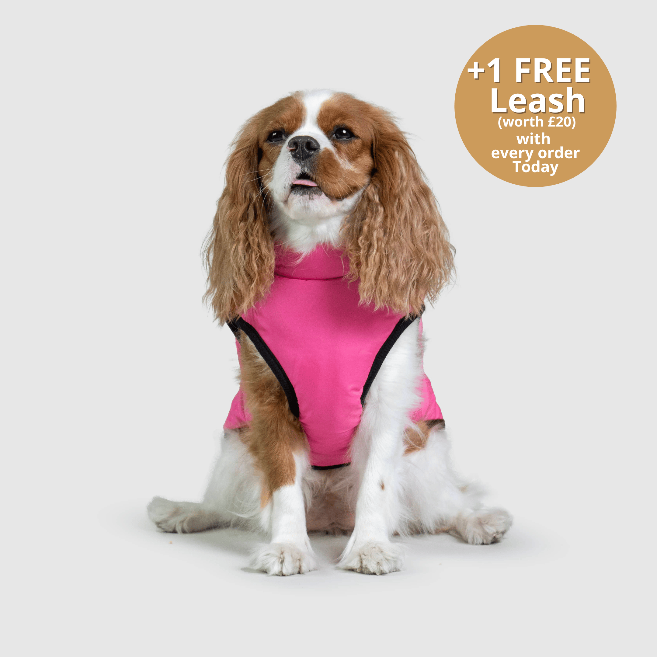 Dog 3 in 1 Jacket