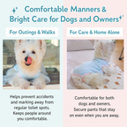 Dog sanitary pants