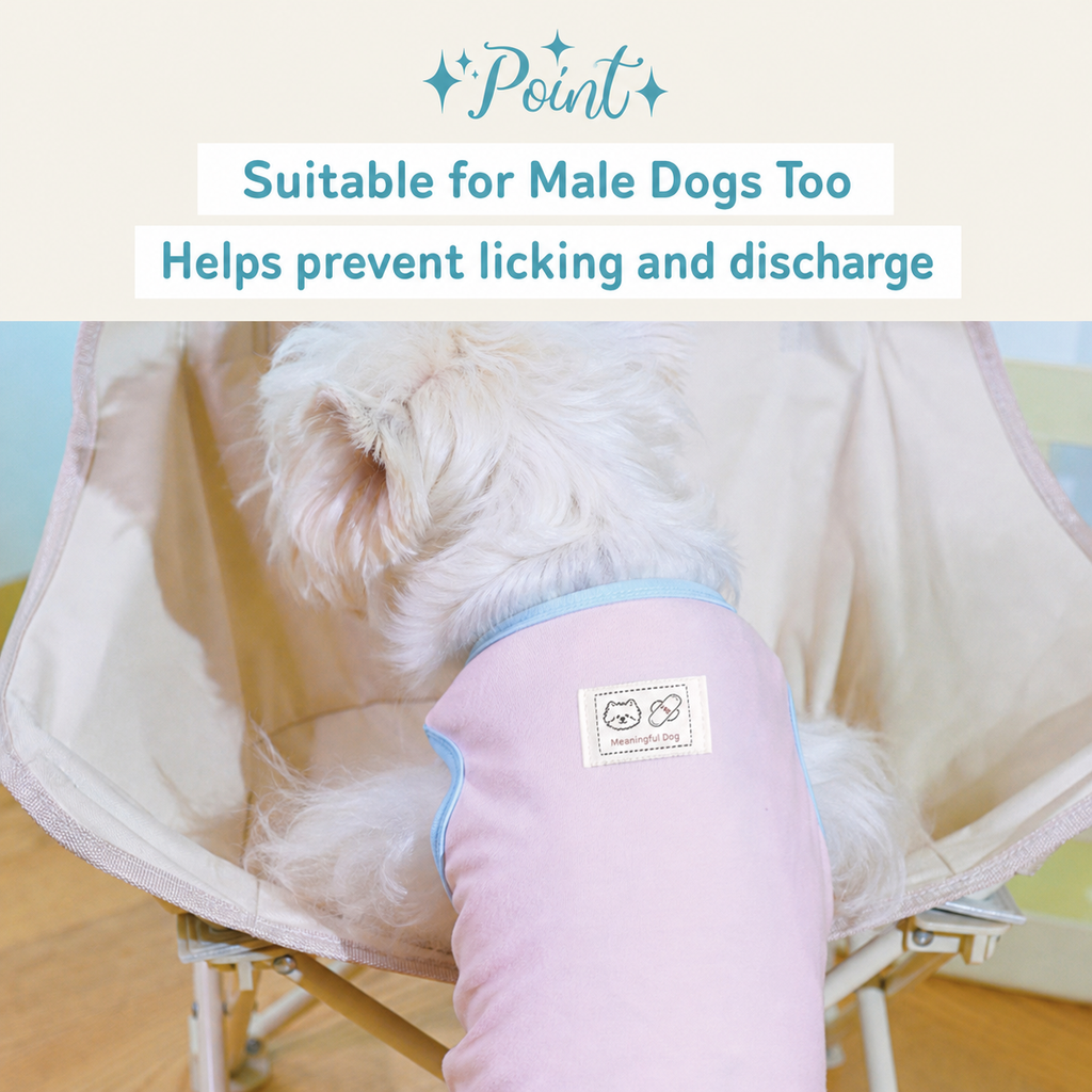 Dog sanitary pants