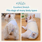 Dog sanitary pants
