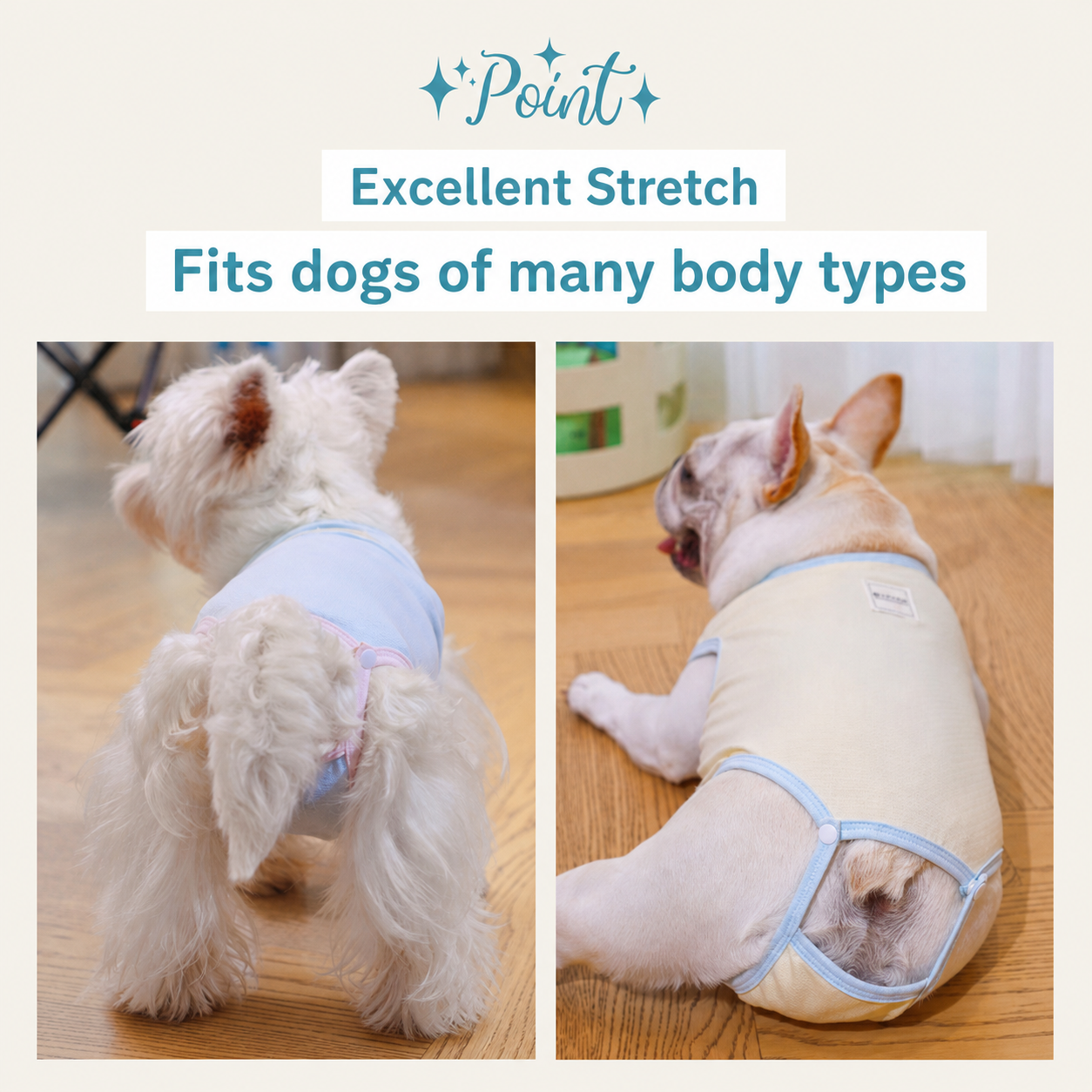 Dog sanitary pants