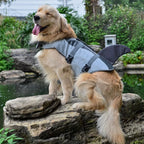 Mermaid & Shark Dog Life Jacket