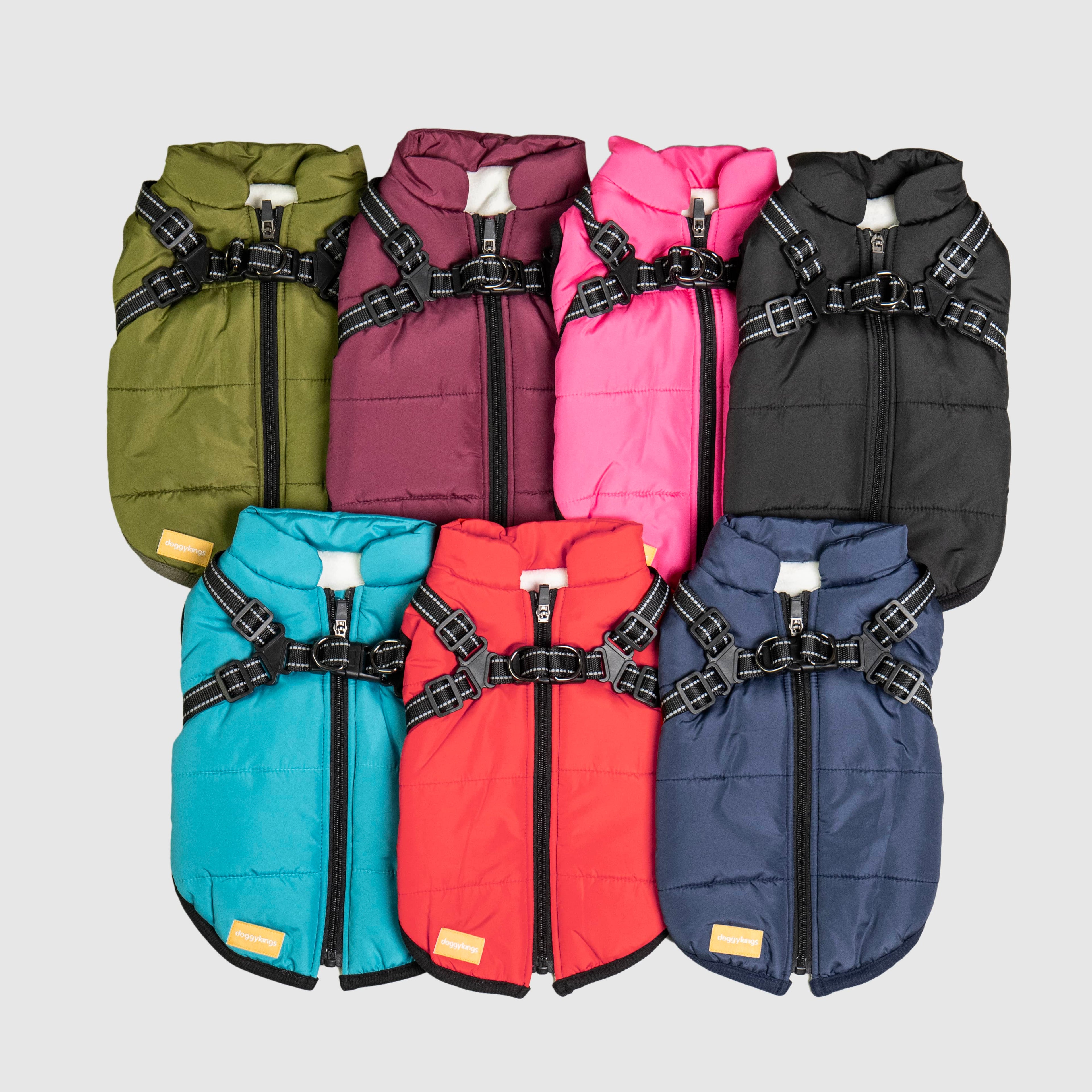 Dog 3 in 1 Jacket