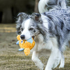 QMONSTER Chew Ball