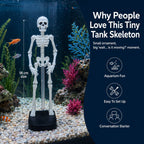 ⭐Up to 50% OFF – 2026 Sale🔥White Underwater Dancing Skeleton Bath Toy With Suction Base