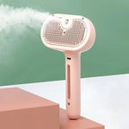 Brush With Steam Spray