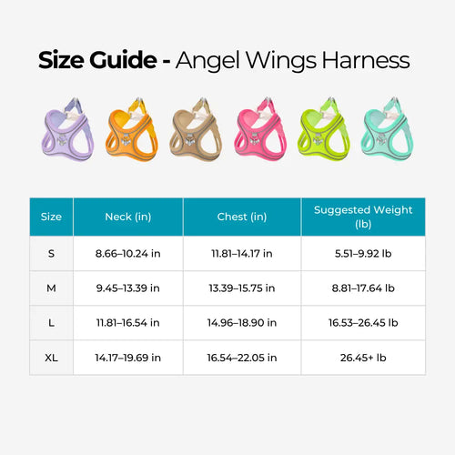 Angel Wings Harness