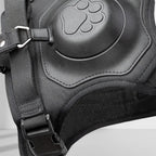 FlexBuddy™ 2 in 1 Harness & Leash