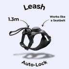 FlexBuddy™ 2 in 1 Harness & Leash