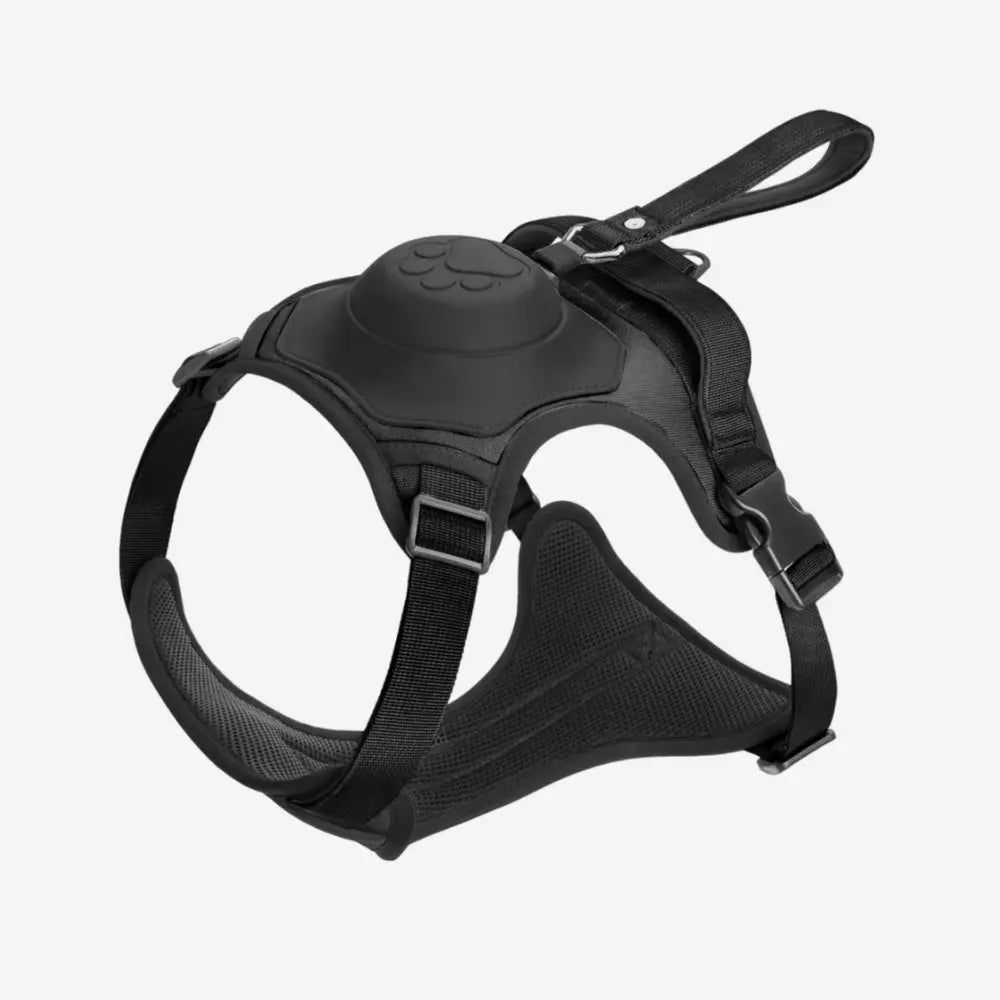 FlexBuddy™ 2 in 1 Harness & Leash