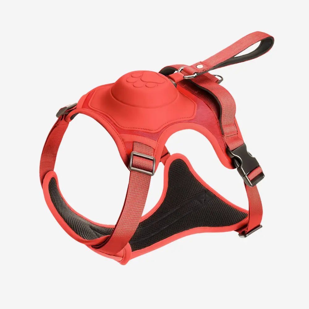 FlexBuddy™ 2 in 1 Harness & Leash