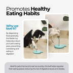 Interactive Dog Feeder Toy