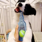 Tennis Ball Bottle