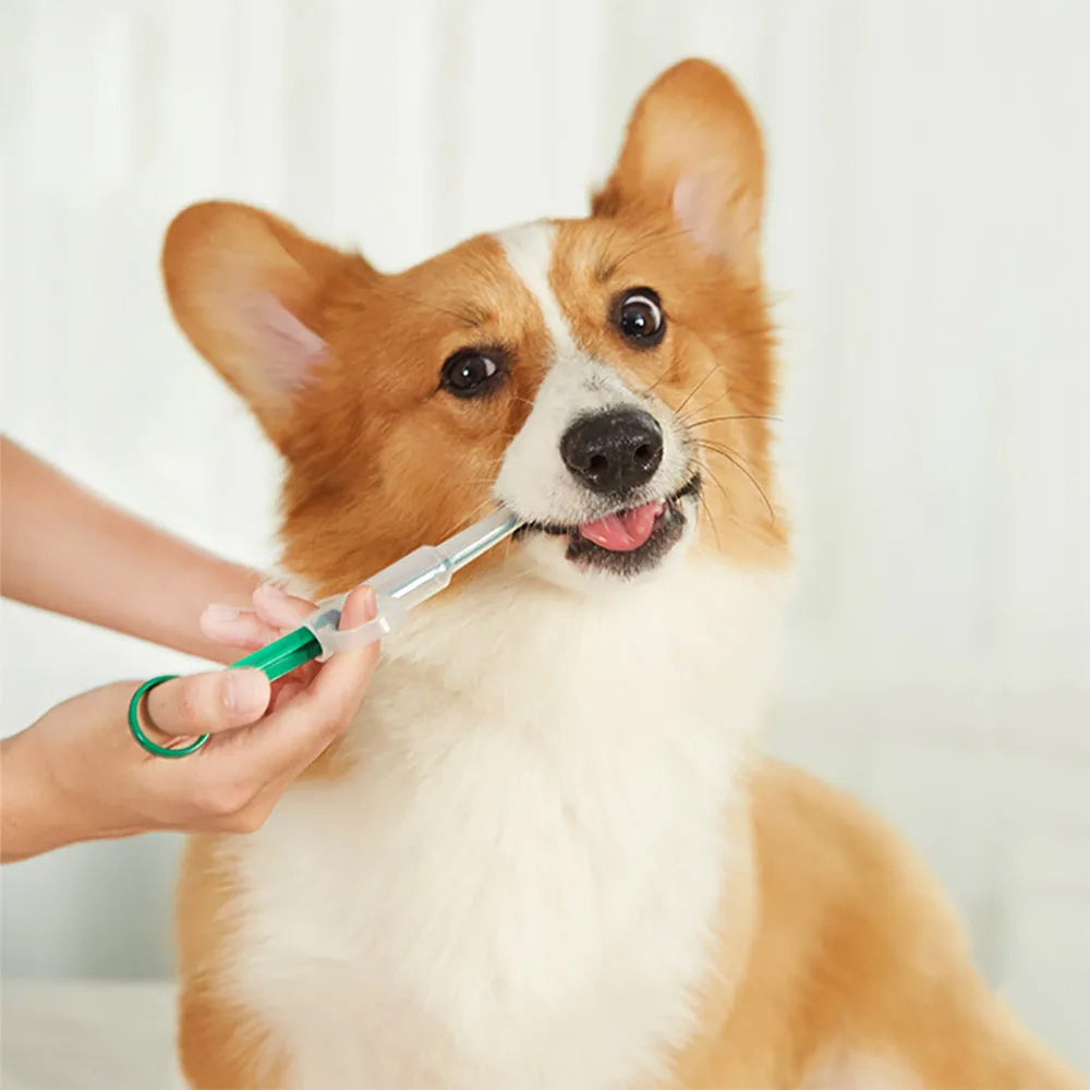 Pet Medicine feeding tool