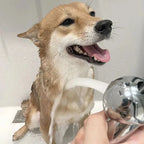 Gentle Shower Head Spray