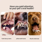 Pet toothpaste set