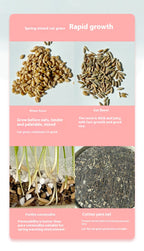 Cat organic grass