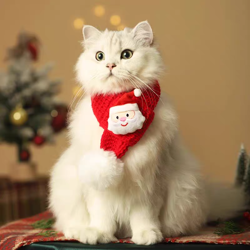 Small Pet scarf 🧣
