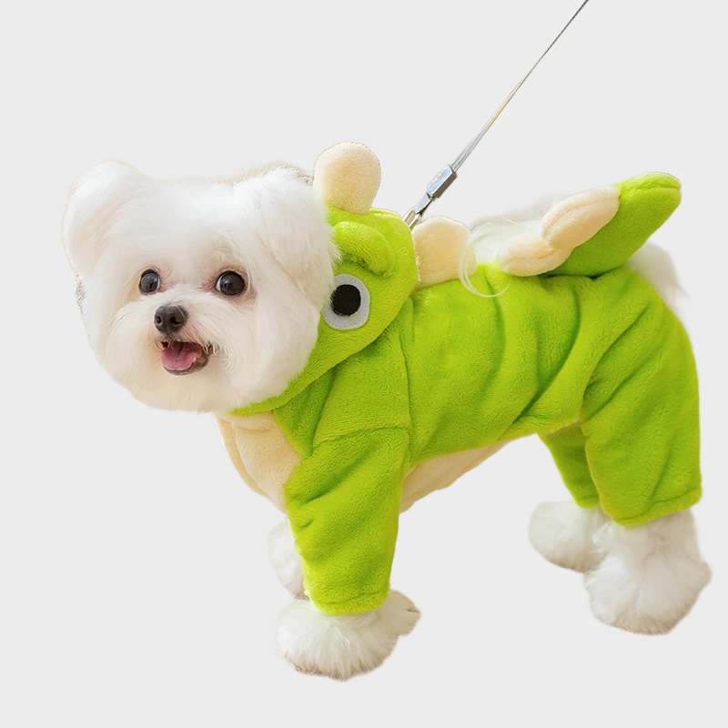 Cat dinosaur hoodie