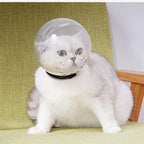 Cat Head protective cover