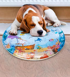 Cat dog water play mat
