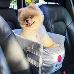 Dog car seat