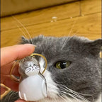 Custom cat hair key chain