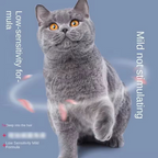 Pet Wash free foam