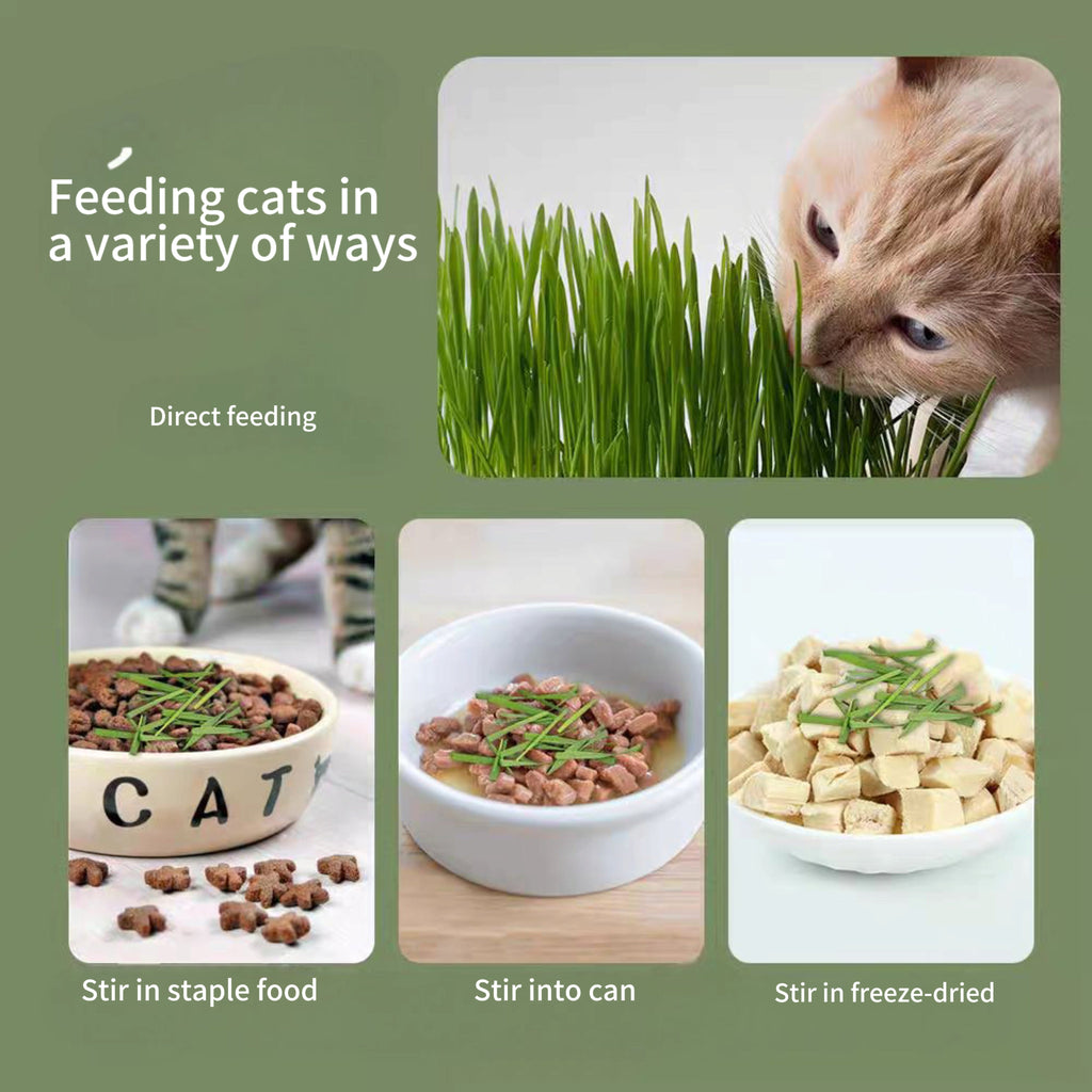 Cat snacks, nutritional supplements
