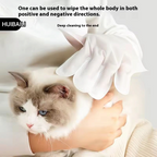 Pet disposable gloves wet wipes