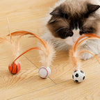 3 Pcs Cat bouncy balls