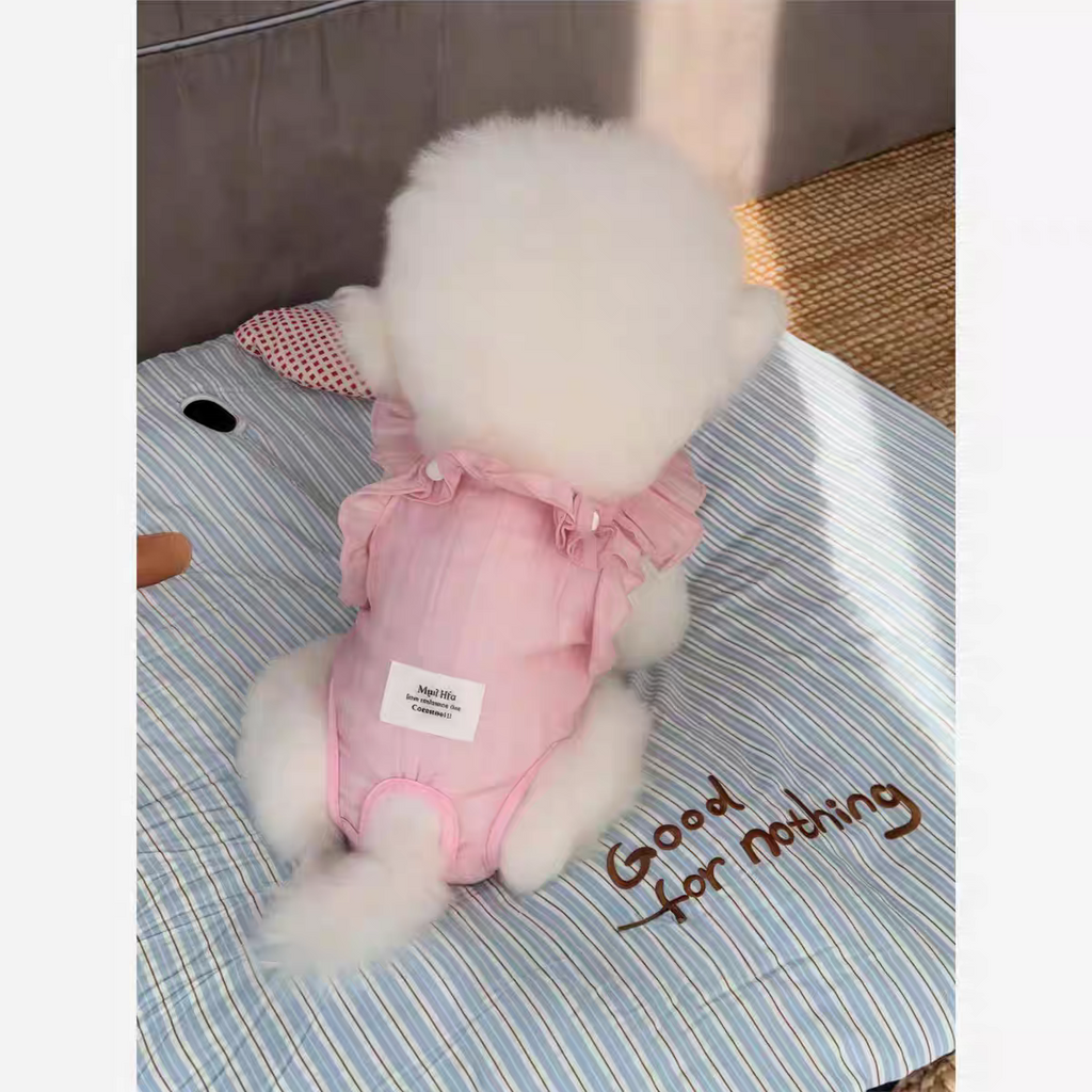 Dog physiological pants + Pads
