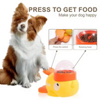 Dog cat puzzle feeding toy