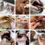 Pet silicone toothbrush kit