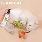 Catnip happy water