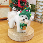 Pet Christmas dress
