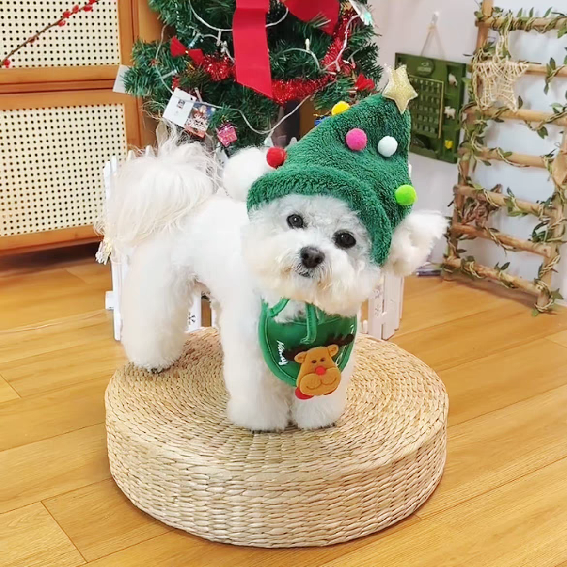 Pet Christmas dress