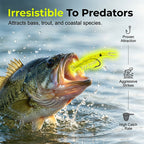 🥳2026 HOT SALE🥳💞50K+ SOLD!🐟💪 50% OFF! 50PCS Soft Shrimp Lures – Realistic texture, sharp hidden hooks. Works in rivers, lakes & sea. No more missed strikes! 🏆🎣